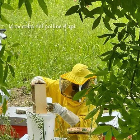 Azienda Agricola Bio Sanbonaventura Farm stay *