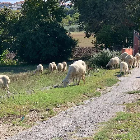 Azienda Agricola Bio Sanbonaventura Farm stay